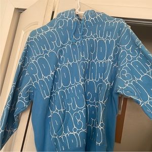 Blue champion hoodie